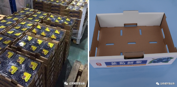 1589522996654643.png 自動套袋機供應