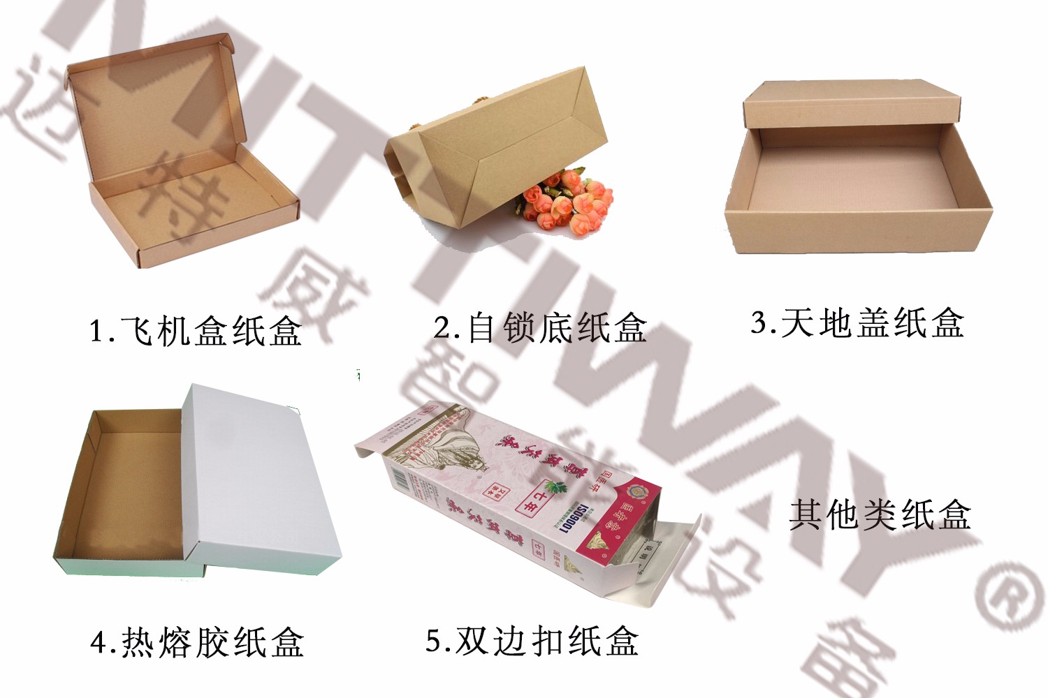 1593848534314004.jpg 折盒機(jī)