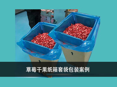 自動內(nèi)套袋機(jī)