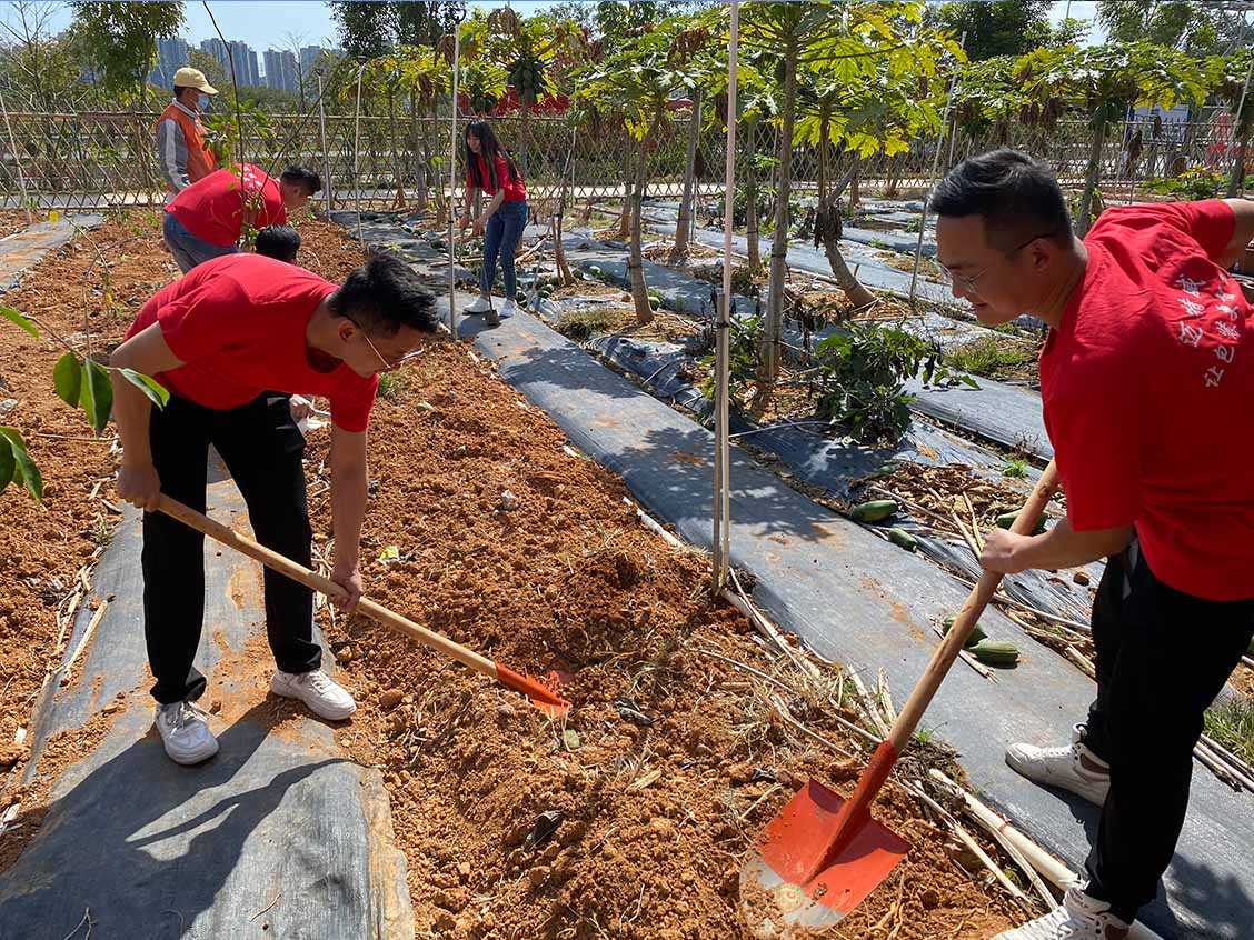 1647849512952634.jpg 2.jpg