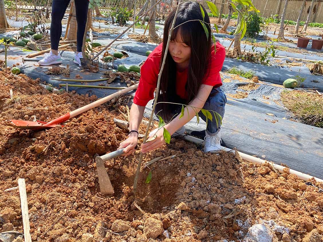 1647849541355635.jpg 3.jpg