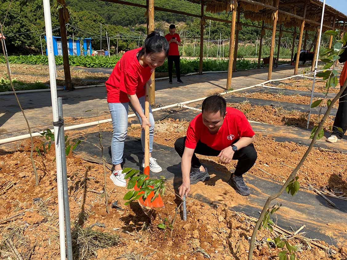 1647849552991713.jpg 5.jpg