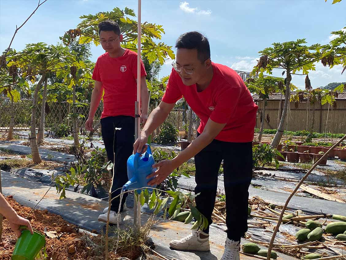 1647849566730844.jpg 7.jpg