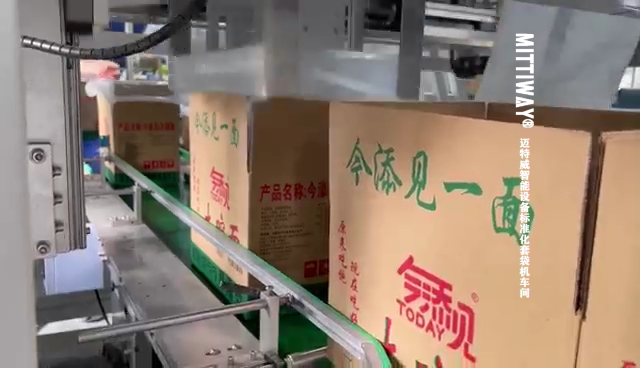 食品行業(yè)包裝方便面全自動(dòng)套袋機(jī)整線(xiàn)案例